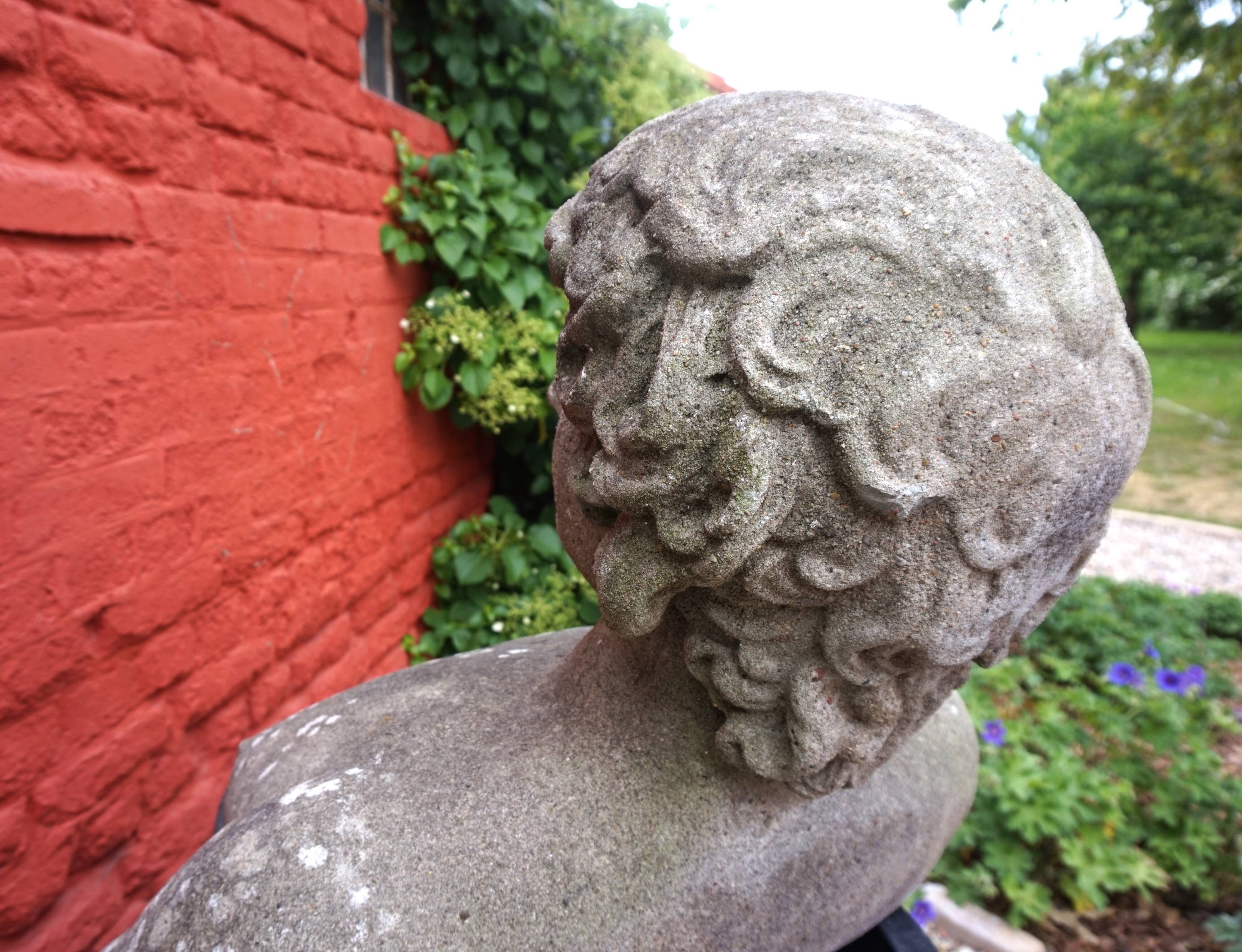 Weathered garden sculpture David concrete bust