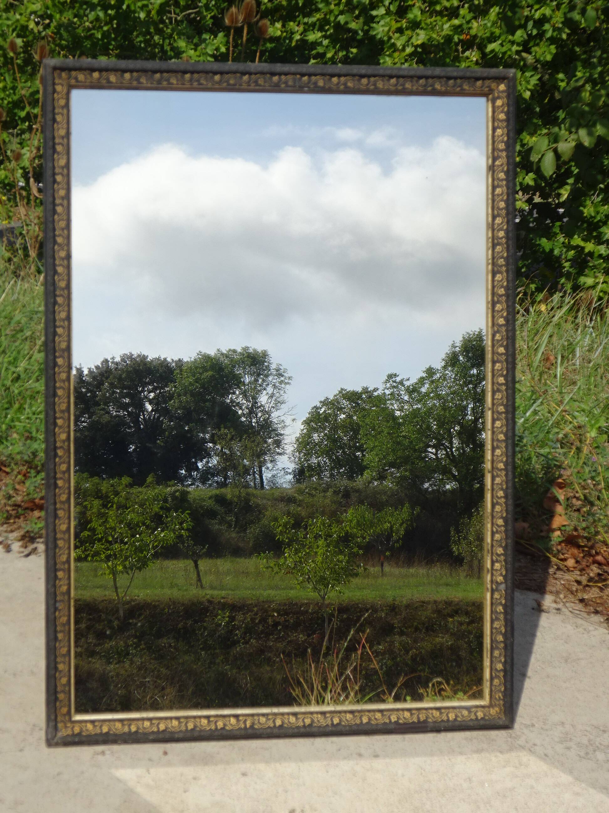 Mirror with black and gold frame, embossed vine leaves