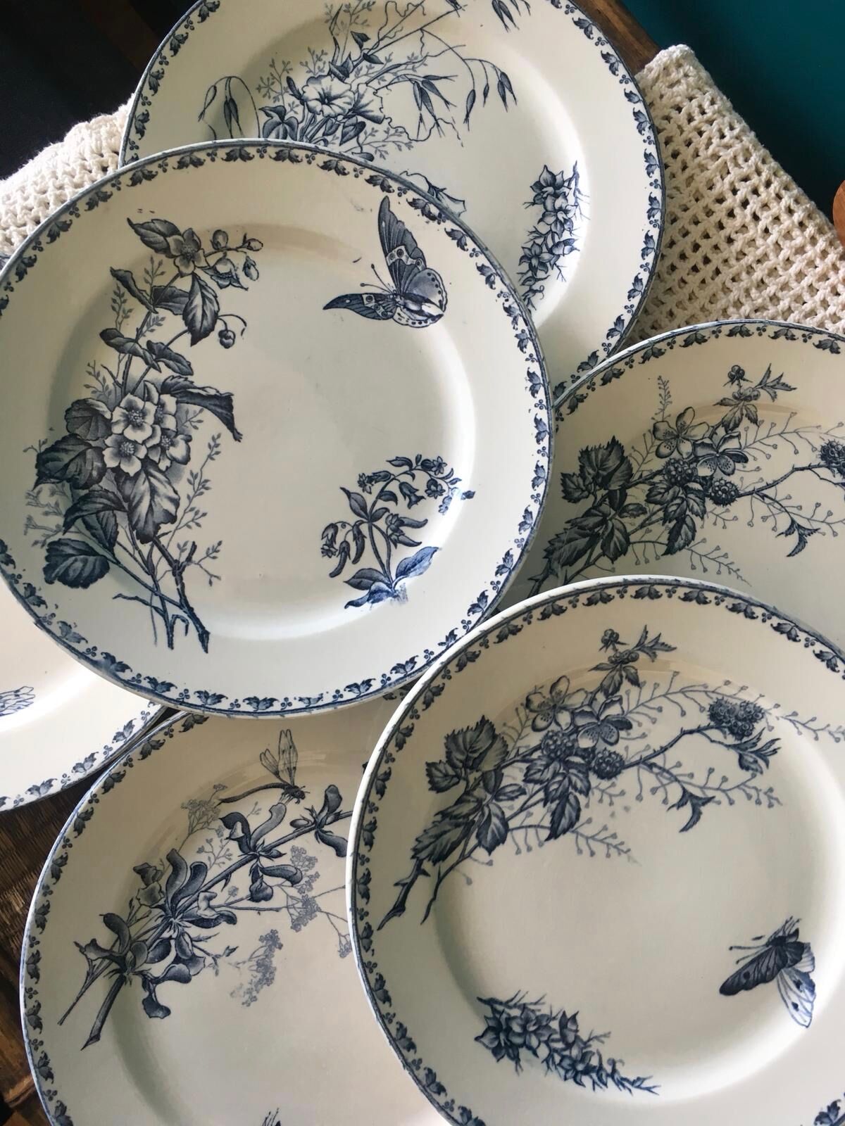 Set de 6 assiettes Sarreguemines Terre de Fer Modèle Carmen