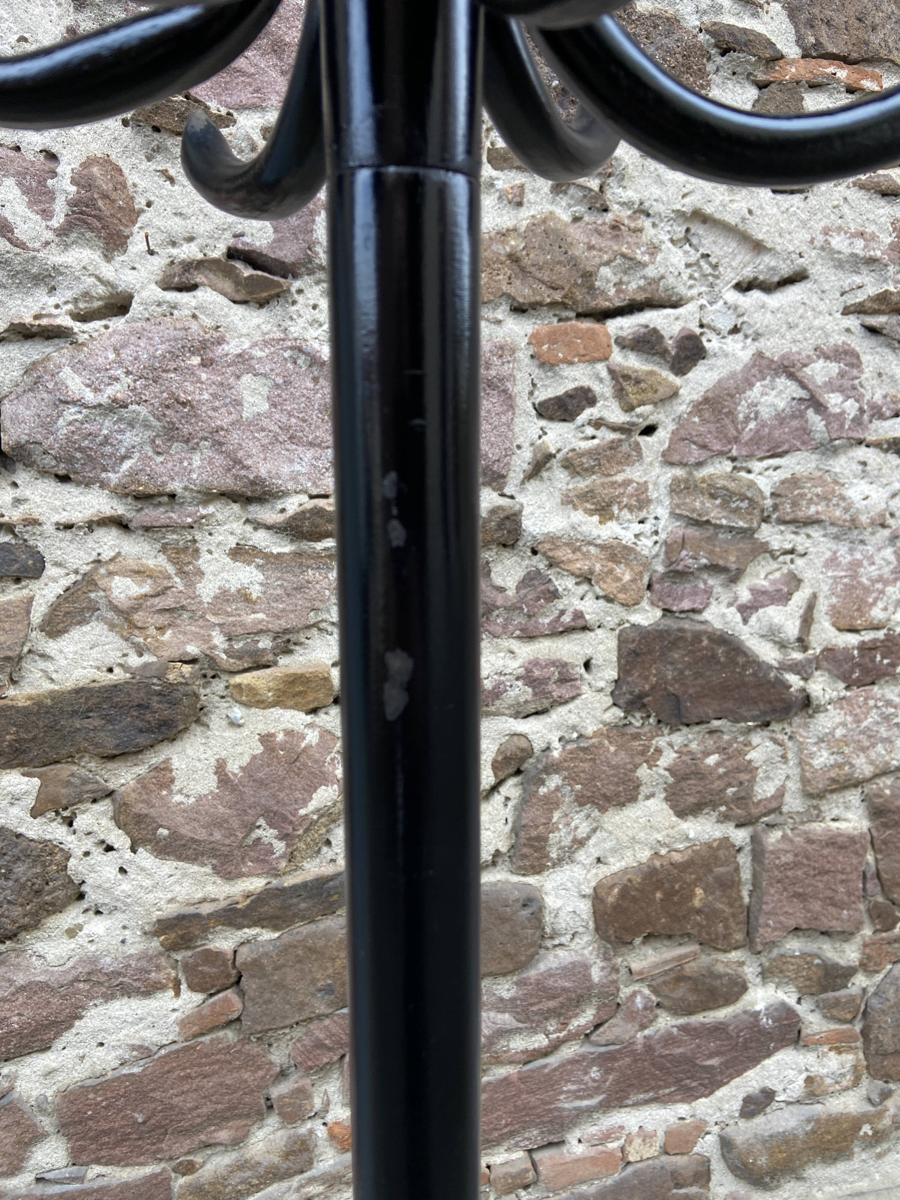 Antique French Art Deco Parrot Coat Rack Curved Wood