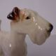 Porcelain Figurine of Fox Terrier, Denmark, 1950s