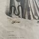 Poster "Fashion Magazine" 1904