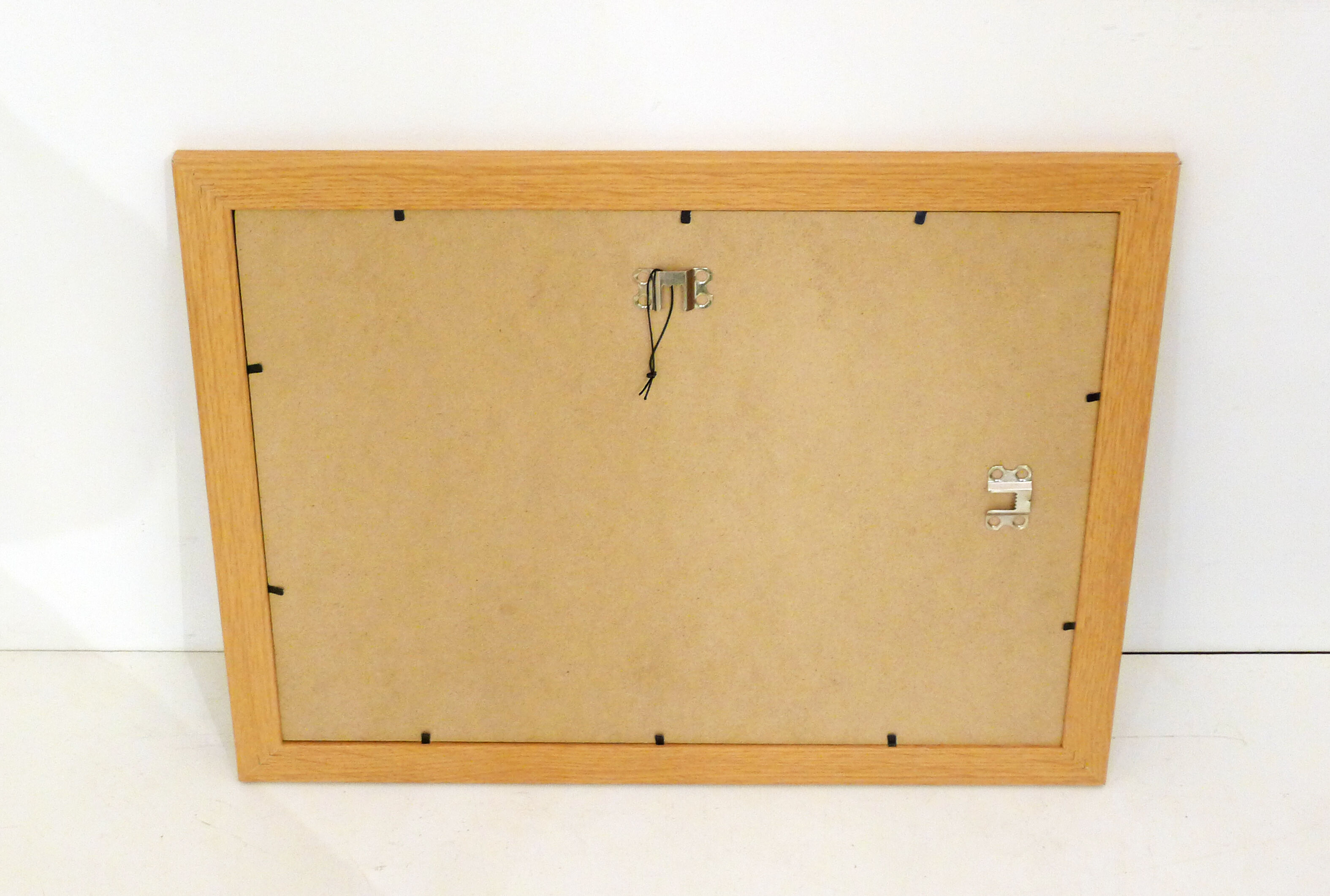 Framed Wildflower Botanical Plate