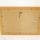 Framed Wildflower Botanical Plate