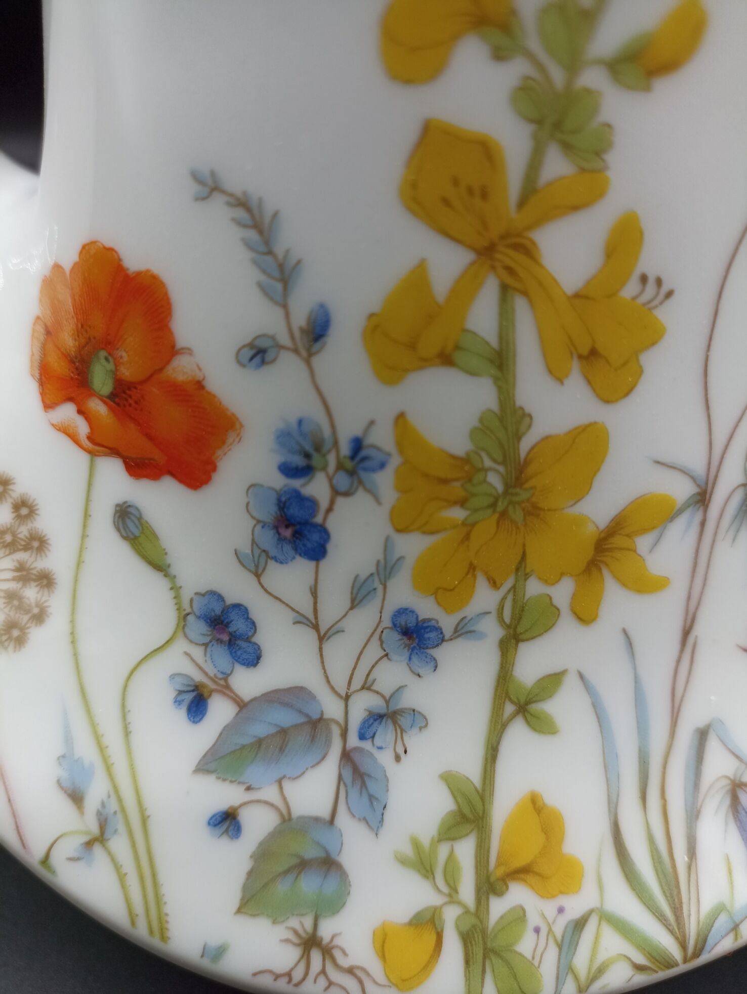 Coffee pourer Seltmann Weiden - Marina