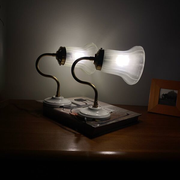 Paire d'appliques col de cygne laiton tulipe verre transparent porcelaine