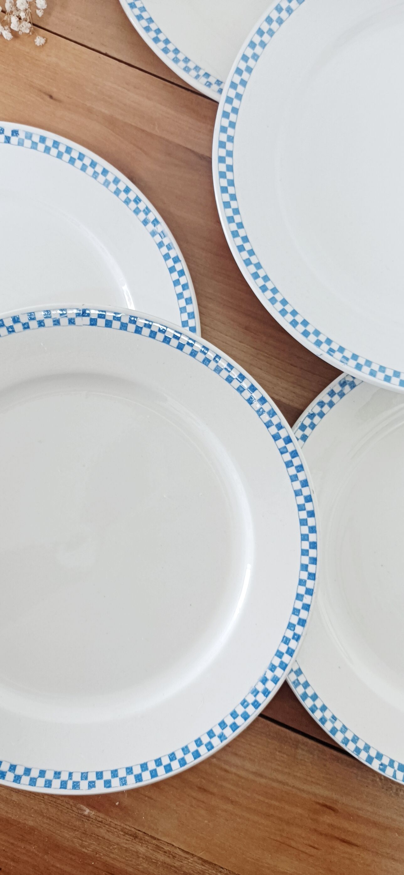 Set of 5 flat plates with blue checkerboard, Sarreguemines 19th