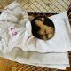 Drap ancien en lin brodé