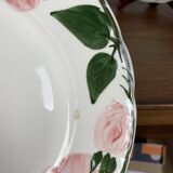Set of 9 Villeroy & Boch "Wild Rose" dessert plates, 1970