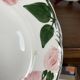 Set of 9 Villeroy & Boch "Wild Rose" dessert plates, 1970