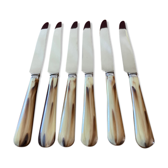Case of 12 dessert knives