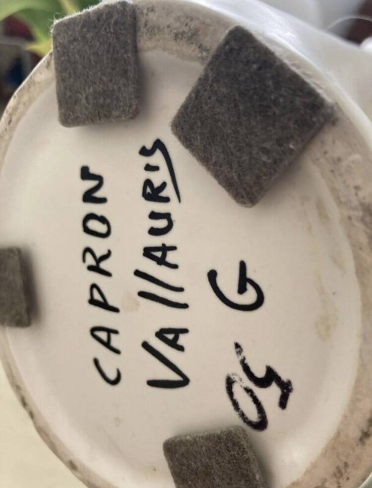 Roger Capron Vallauris ceramic design carafe