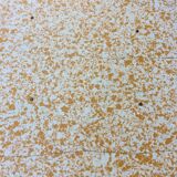 Vintage kitchen table