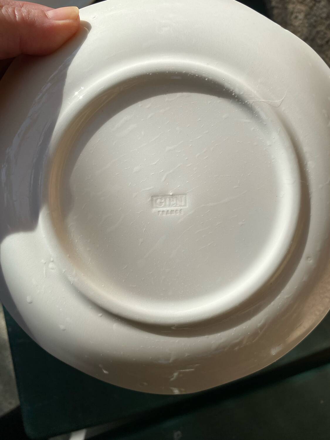 Set of 4 vintage Gien dessert plates.