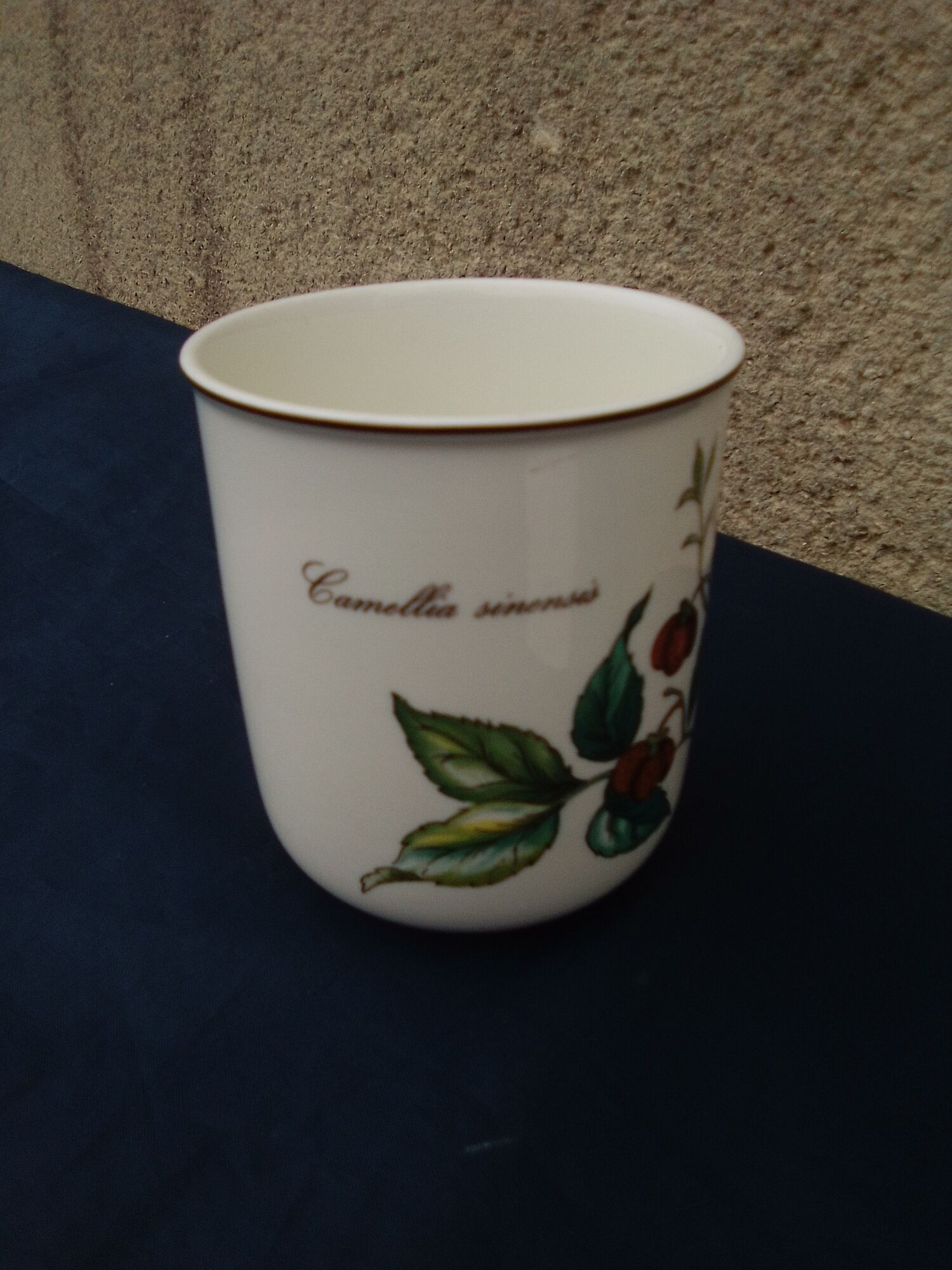 Mug in vitro porcelain Villeroy & Boch model Botanica Camellia Ssnensis S H 9 cm
