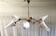 Modernist chandelier with 6 lights in gilded brass - 1950s/60s