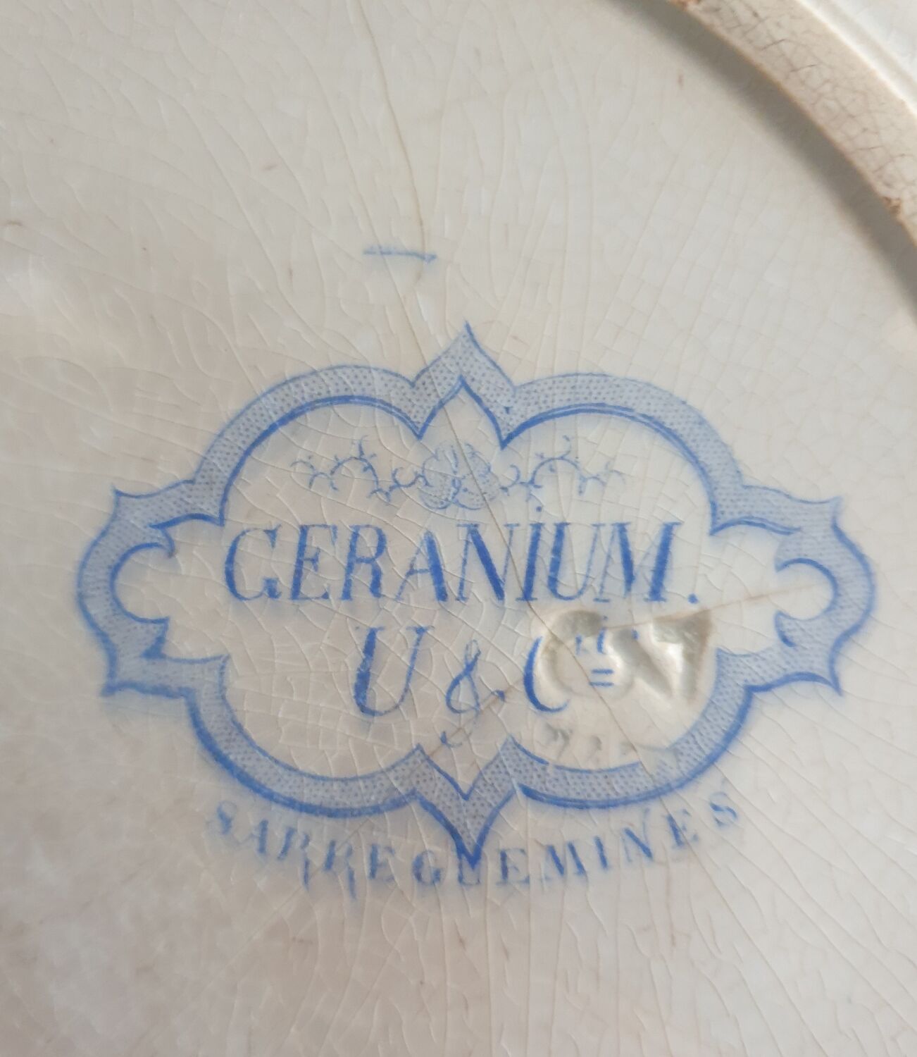 Geranium Saarguemines Iron Earth dish