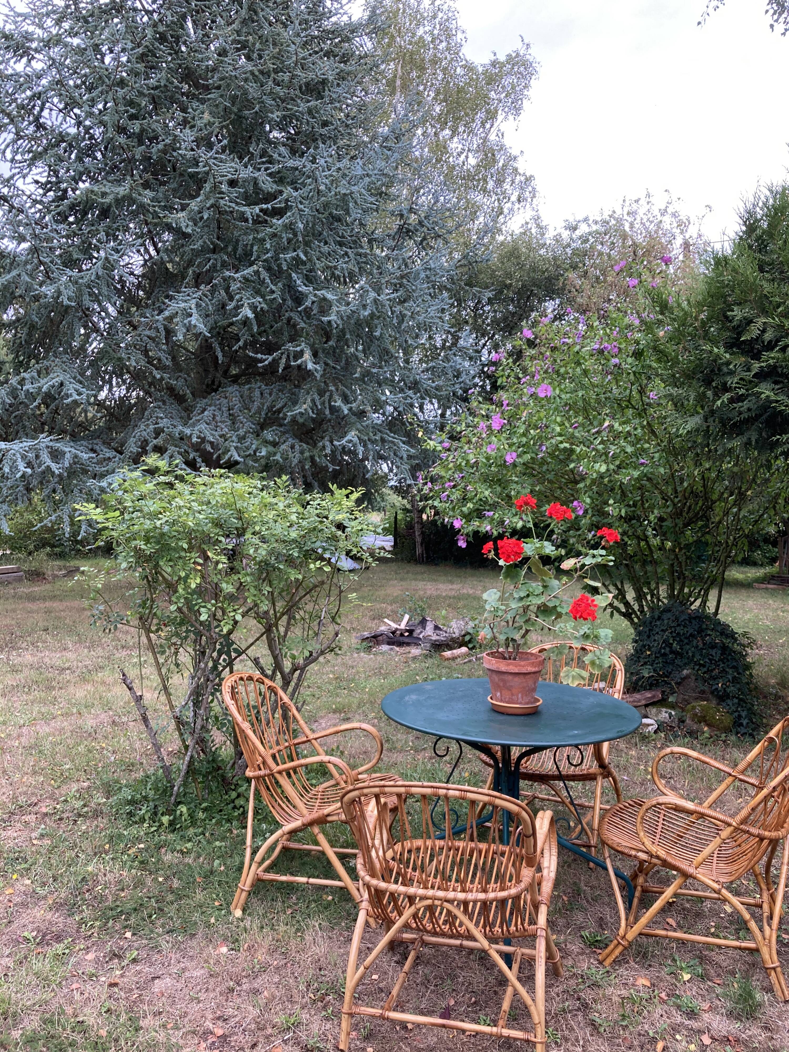 Lot de 4 fauteuils adultes en rotin