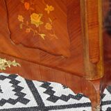 Glass library with rosewood marquetry in the Louis XV style.