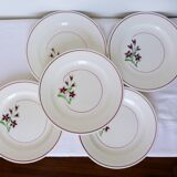 5 flat plates from Salins