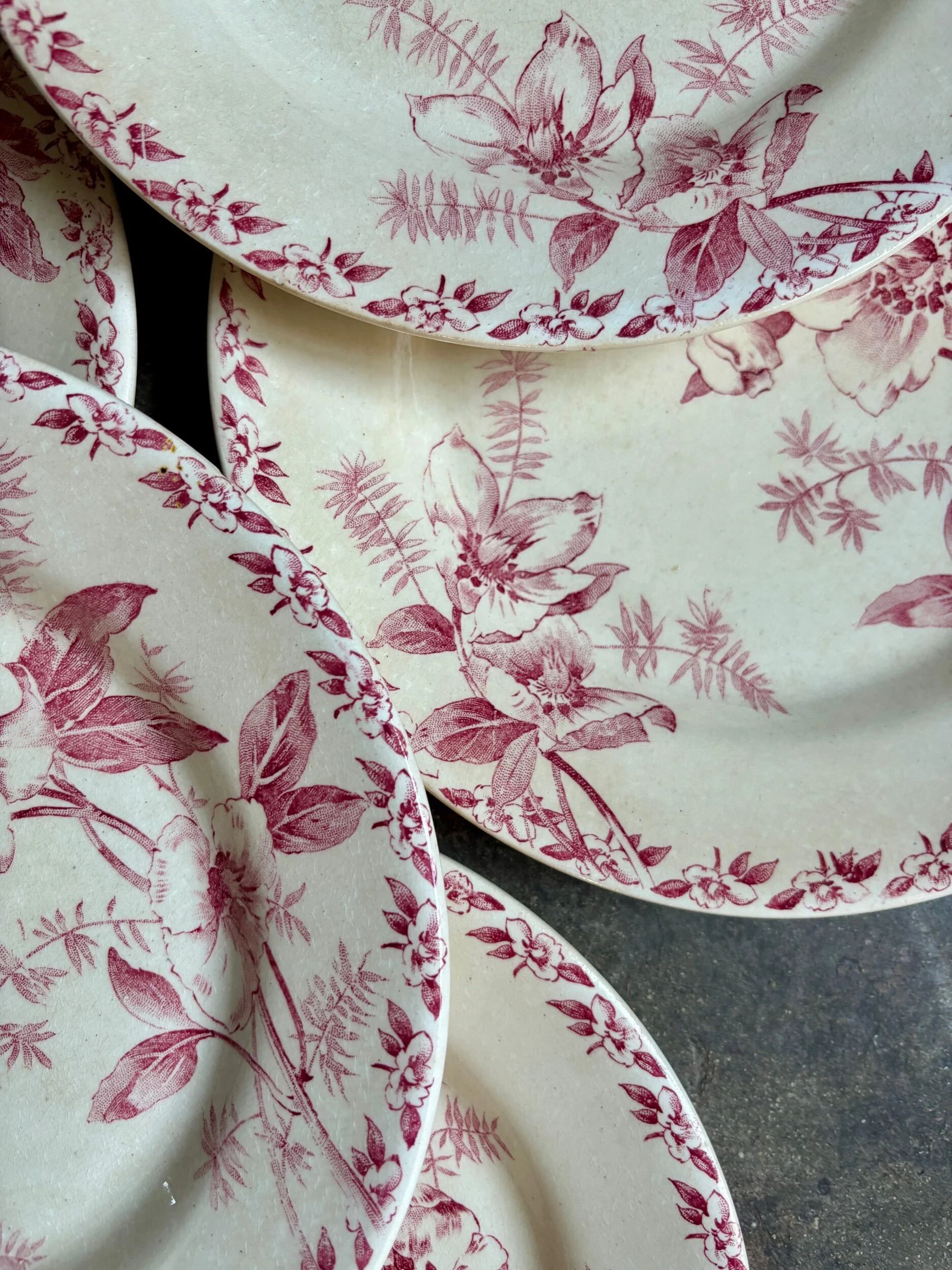 6 assiettes plates Gien en terre de fer rose, service "Roses de Noël"