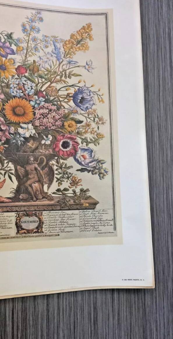 Lot of 19th century Floral Engravings - Vintage Art Print Flowers - 12 months - Robert Furber