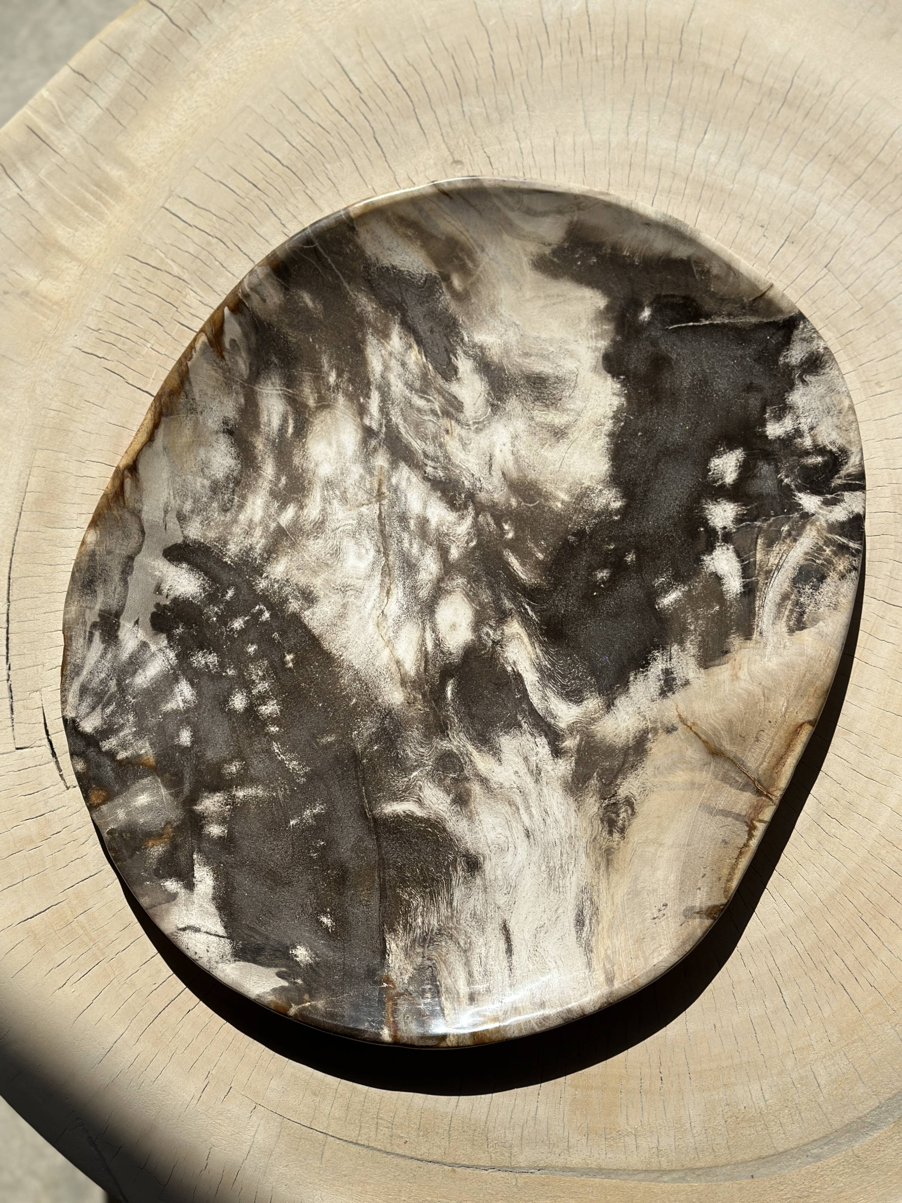 Very large pocket or dish in petrified wood