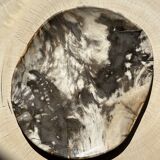 Very large pocket or dish in petrified wood