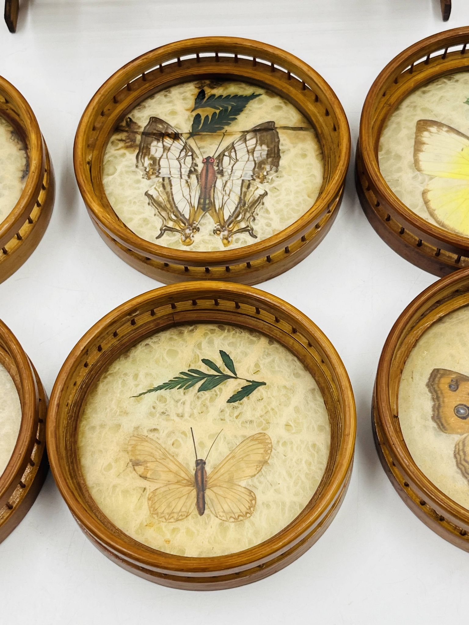 Vintage wooden coaster holder with 6 butterfly coasters.