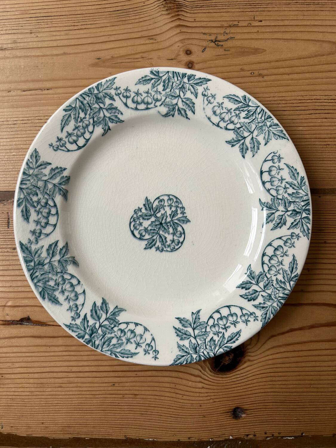 Set of 6 mismatched antique dinner plates