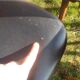Baumann X6 chairs, Ant model