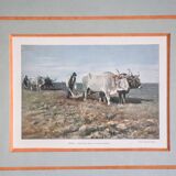 Tableau héliogravure originale Gillot