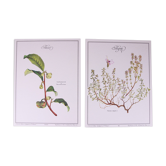 Set of 2 botanical planks