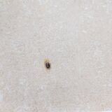 Set of nesting tables – 1950s