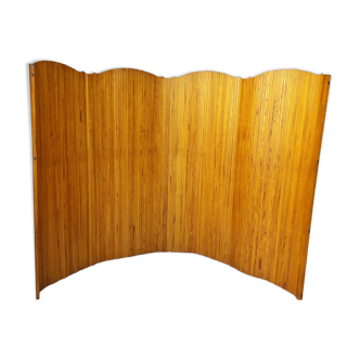 Screen