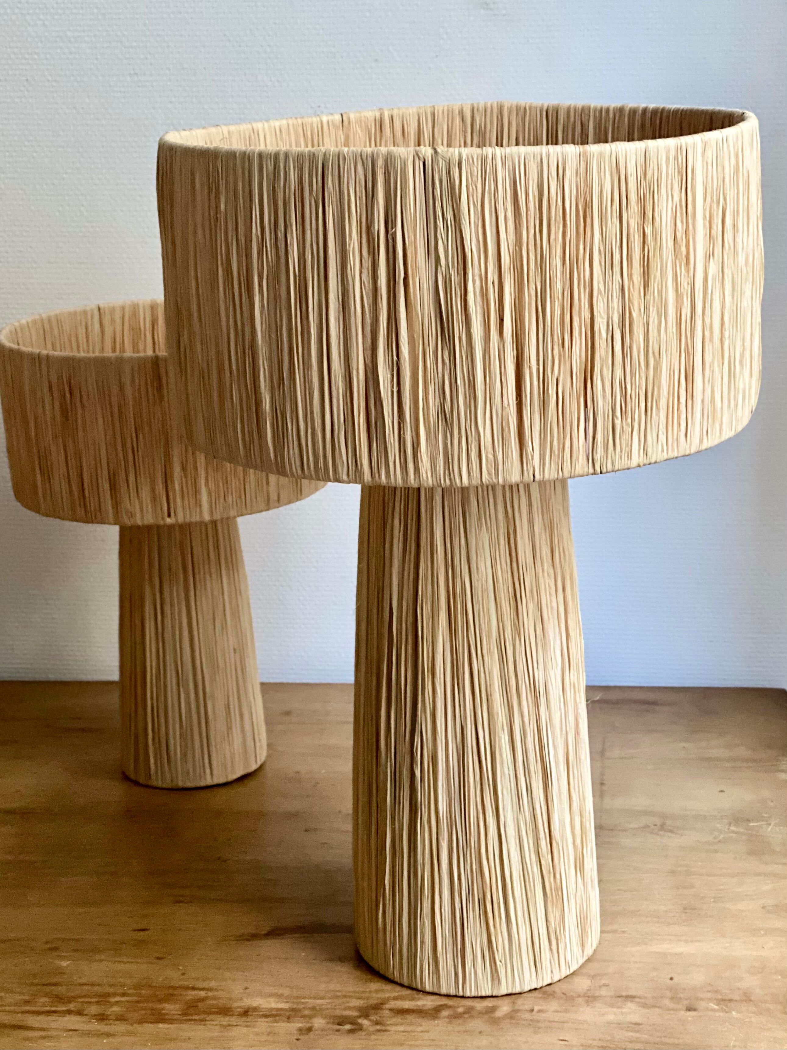 Minimalist raffia bedside table lamp