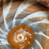 Series of 4 plates Pyroblan Sarreguemines vintage