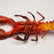 Plastic lobster, circa 1970