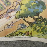 School poster editions nightingale N° 41 and 42 mountain and Mediterranean vegetation