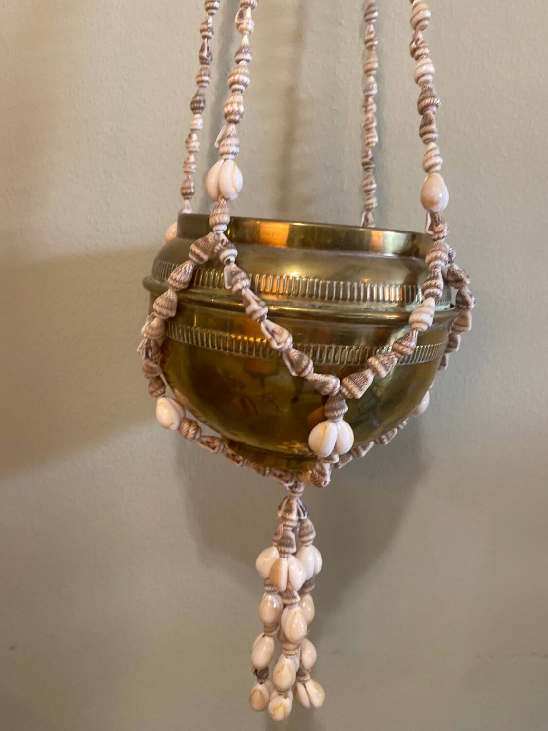Shell plant hanger