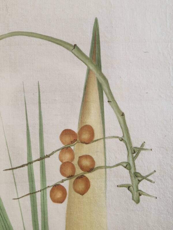La Roche Laffitte (Born in 1943) - Watercolour drawing on silk - Palm tree