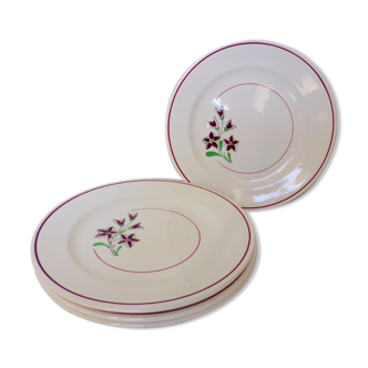Set of 4 vintage porcelain dinner plates from the Salins factory