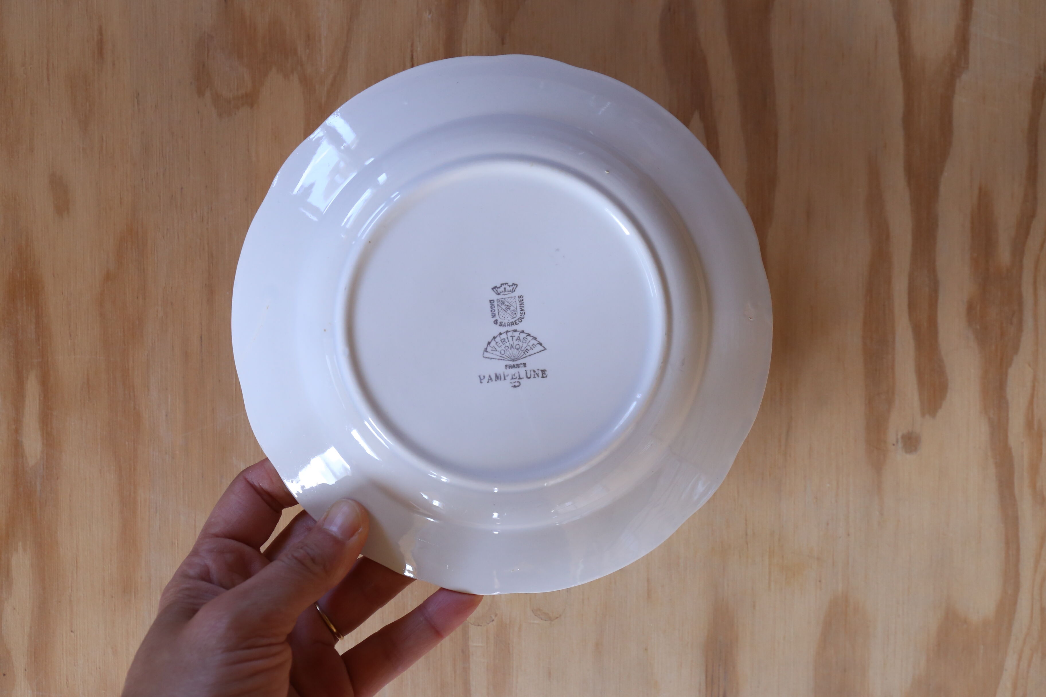 Service of 10 plates Digoin & Sarreguemine