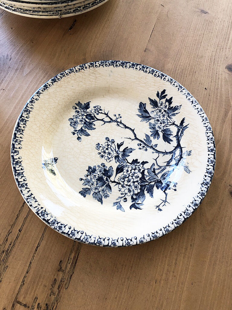 11 plates Terre de Fer Aubepine