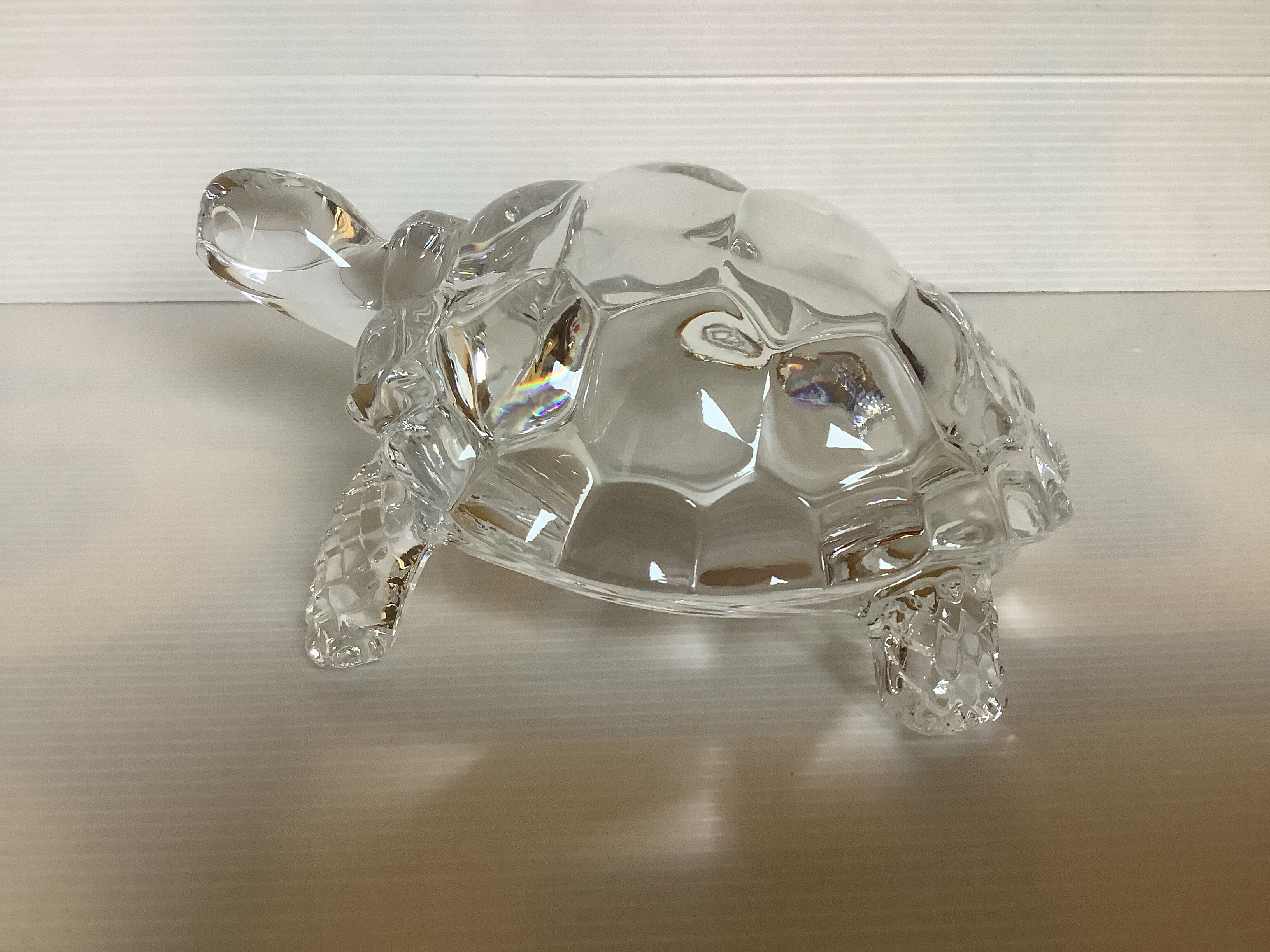 Arques crystal turtle