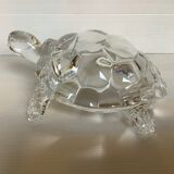 Arques crystal turtle