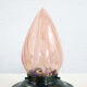 Glass and brass ceiling lamp 50s