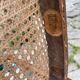 Duo de chaises Thonet bistrot