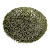 Cabbage leaf salad bowl