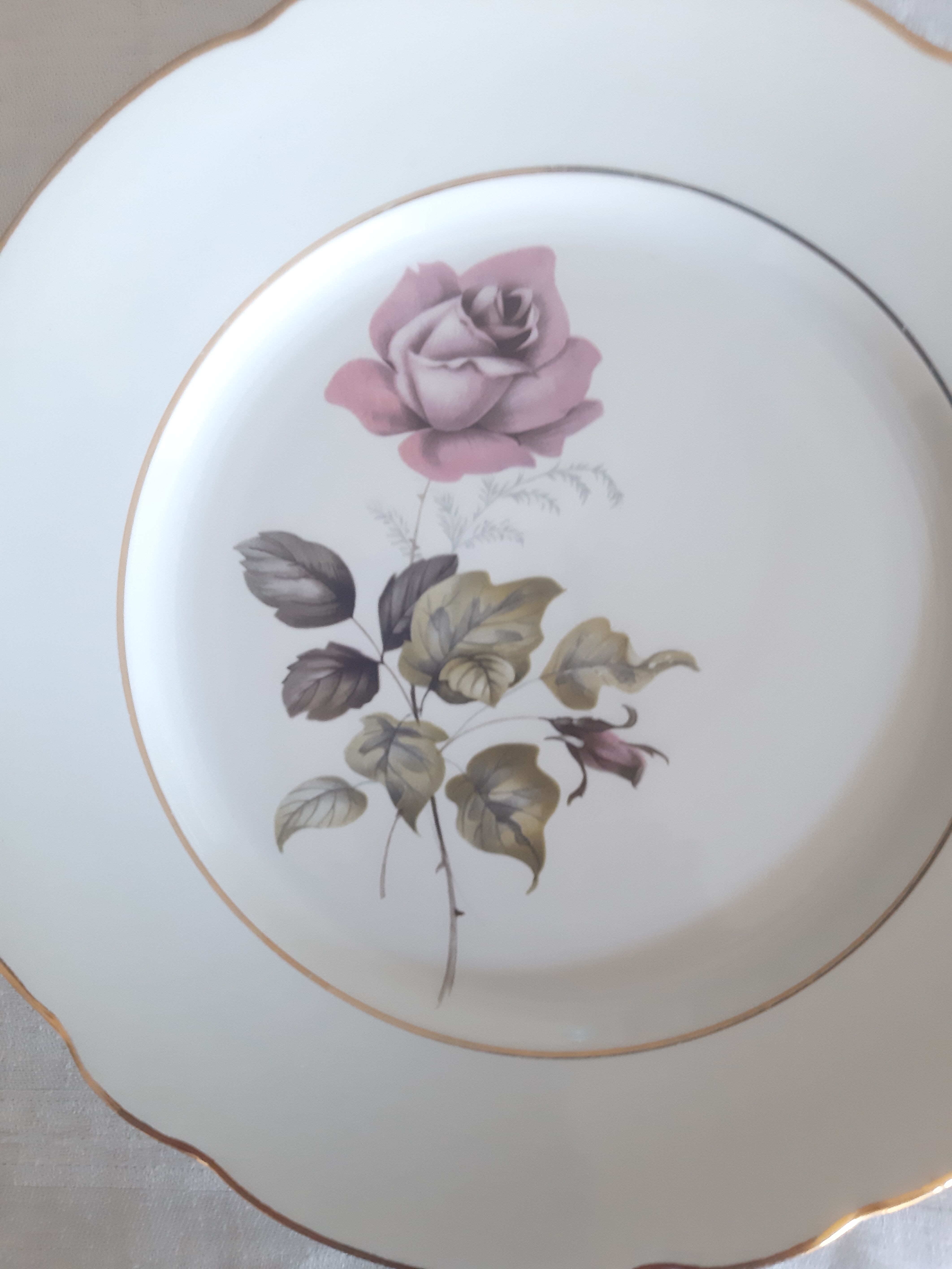 Flat plates Lunéville Badonvillier